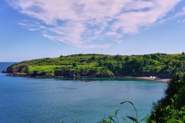 04 Haziran 2021. Brixham, İngiltere. İngiliz Riviera Devon, İngiltere 'deki Berry Head' deki uçurumdan görüntü. Mavi okyanus. Denizde kayalar. Uçurumdaki çiçekler. Sahil boyunca yürü..