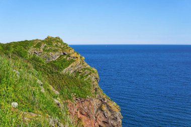04 Haziran 2021. Brixham, İngiltere. İngiliz Riviera Devon, İngiltere 'deki Berry Head' deki uçurumdan görüntü. Mavi okyanus. Denizde kayalar. Uçurumdaki çiçekler. Sahil boyunca yürü..