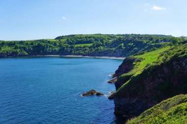 04 Haziran 2021. Brixham, İngiltere. İngiliz Riviera Devon, İngiltere 'deki Berry Head' deki uçurumdan görüntü. Mavi okyanus. Denizde kayalar. Uçurumdaki çiçekler. Sahil boyunca yürü..