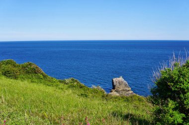 04 Haziran 2021. Brixham, İngiltere. İngiliz Riviera Devon, İngiltere 'deki Berry Head' deki uçurumdan görüntü. Mavi okyanus. Denizde kayalar. Uçurumdaki çiçekler. Sahil boyunca yürü..
