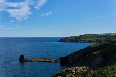 04 Haziran 2021. Brixham, İngiltere. İngiliz Riviera Devon, İngiltere 'deki Berry Head' deki uçurumdan görüntü. Mavi okyanus. Denizde kayalar. Uçurumdaki çiçekler. Sahil boyunca yürü..