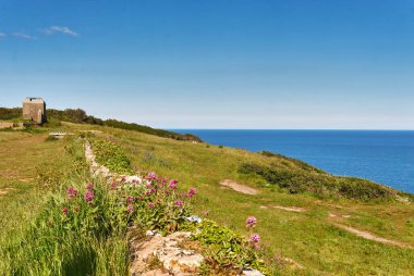 04 Haziran 2021. Brixham, İngiltere. İngiliz Riviera Devon, İngiltere 'deki Berry Head' deki uçurumdan görüntü. Mavi okyanus. Denizde kayalar. Uçurumdaki çiçekler. Sahil boyunca yürü..