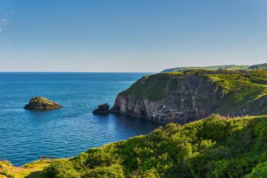 04 Haziran 2021. Brixham, İngiltere. İngiliz Riviera Devon, İngiltere 'deki Berry Head' deki uçurumdan görüntü. Mavi okyanus. Denizde kayalar. Uçurumdaki çiçekler. Sahil boyunca yürü..