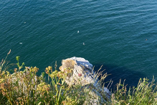 Juni 2021 Bunte Gebäude Und Fischerboote Der Stadt Brixham Der — Stockfoto