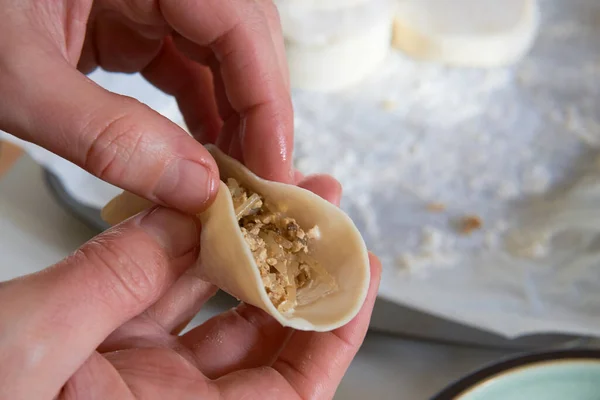 Fazendo Bolinhos Com Mãos Close Enchimento Mãos Homem Gyoza Vegan — Fotografia de Stock