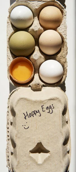 Free Range Chicken Eggs Carton Box Happy Eggs Hand Writing Стоковое Фото