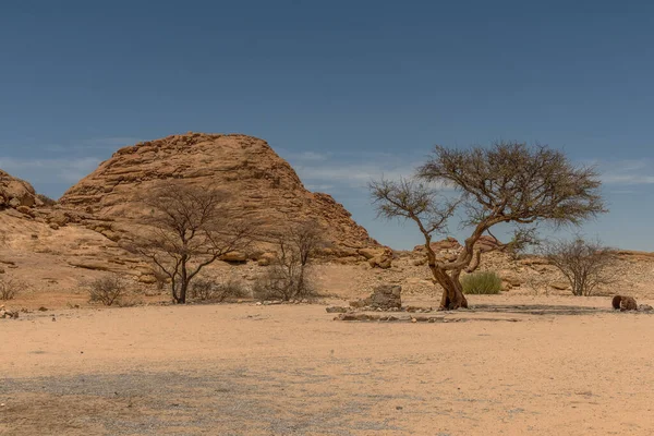 Скалы Пустыне Возле Шпицкоппе Намибия — стоковое фото