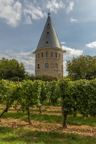 Florsheim Wicker葡萄园中的了望塔 — 图库照片