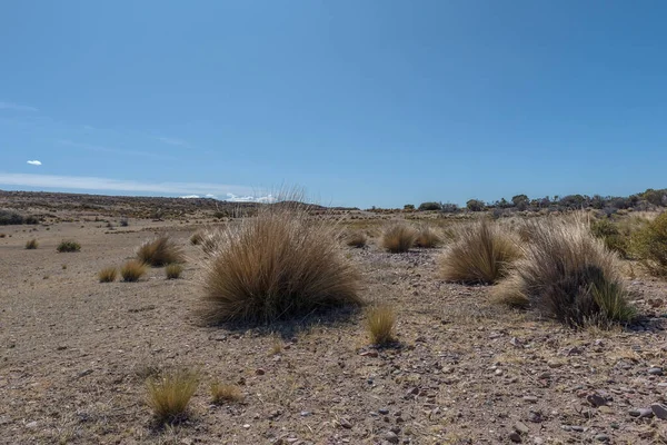 アルゼンチン パタゴニアの大西洋岸の砂漠の風景 — ストック写真