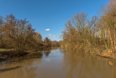 Kışın Nidda nehrinin kıyısında çıplak ağaçlar, Frankfurt 