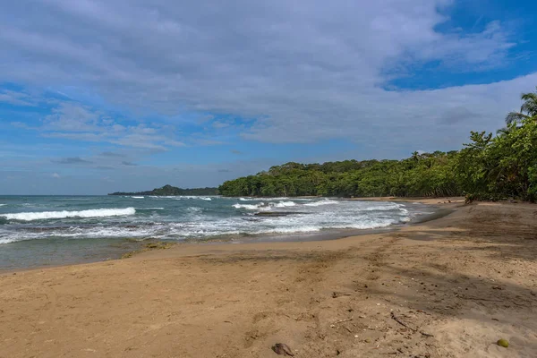 Plaża Dziewicza Dżungla Puerto Viejo Kostaryka — Zdjęcie stockowe