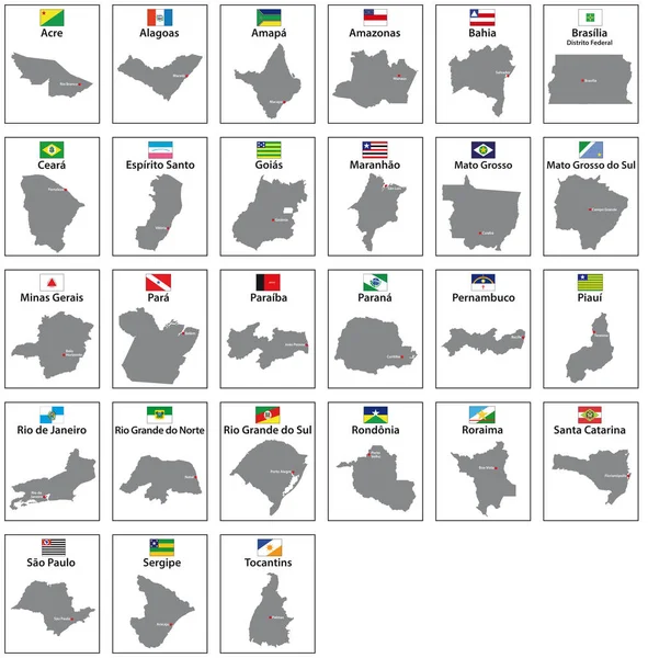 Vektortérképek Brazil Állam Zászlóival — Stock Vector