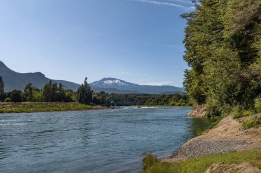 Şili 'deki Biobio Nehri' nde orman manzarası