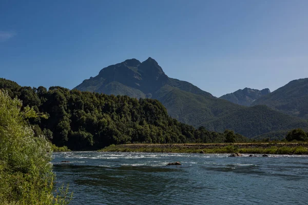 Skogslandskap Vid Biobio River Chile — Stockfoto