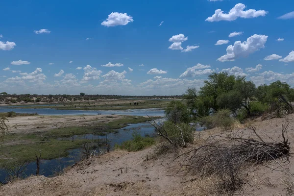 Boteti River Low Tide Summer Botswana — Stock fotografie