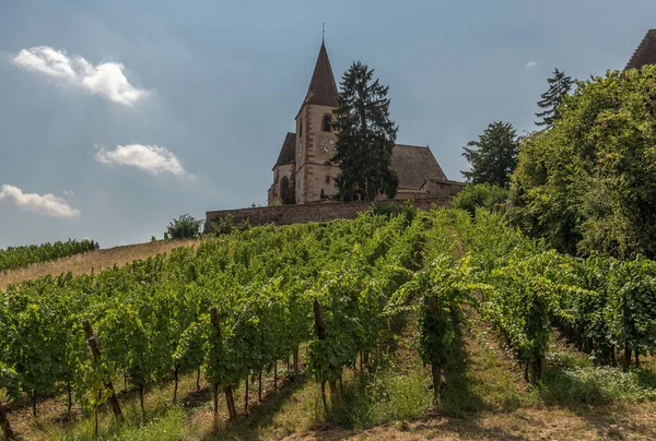 Saint Jacques Majeur Church Hunawihr Alsace France — Foto de Stock