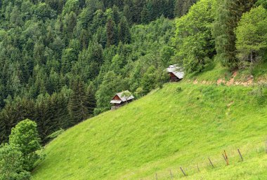 Geleneksel çiftlik, Gurktal Alpleri 'nin yüksek dağları, Carinthia Avusturya