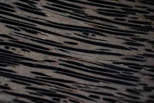 Close Abstract Wood Bakground Texture — Stock Photo, Image