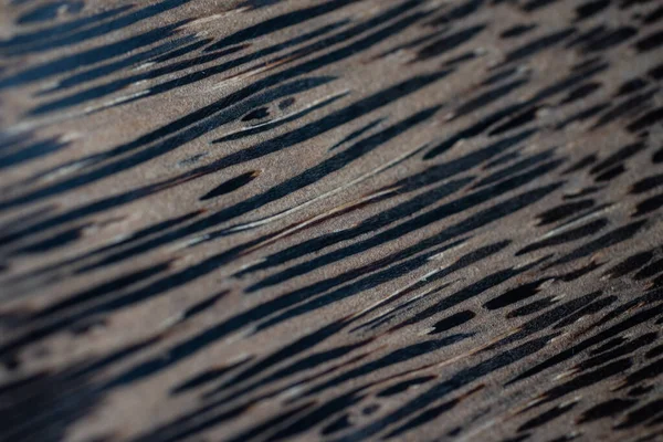 Close Abstract Wood Bakground Texture — Stock Photo, Image