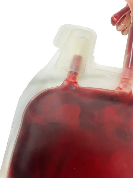 Красный Мешок Крови Белом Фоне — стоковое фото