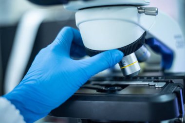 Laboratuvarda mavi eldivenli el bilimcisi..