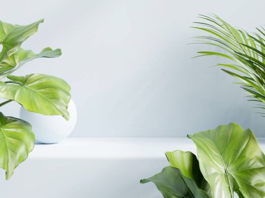 Ürün sunumu için mavi raf modellemesi 3D