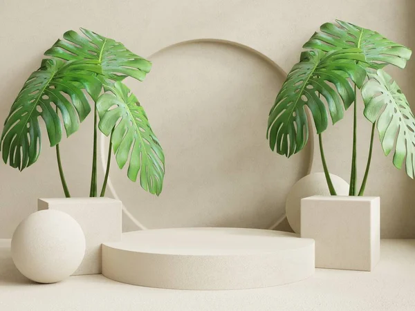 Podium and plant for product display on cream color background.3d rendering