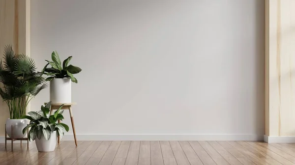 Plants Wooden Floor Empty White Room Rendering — Stockfoto