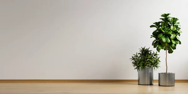 White empty room with plant in living room interior.3d rendering