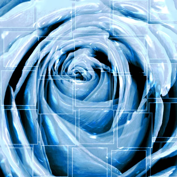 Beautifu Glossyl Abstract Blue Rose Close Embossed Effect Valentine Day — Stock Photo, Image