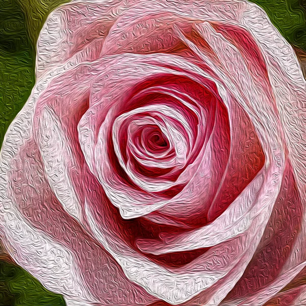 Beautiful Pink Rose Oil Painting Valentine — ストック写真