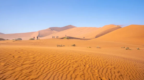 Big Daddy Dune Sossusvlei Εθνικό Πάρκο Namib Naukluft Ναμίμπια — Φωτογραφία Αρχείου