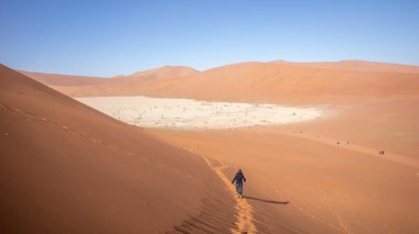 Tourist visiting Deadvlei on a sunny and windy day, Deadvlei, Sossusvlei, Namibia.