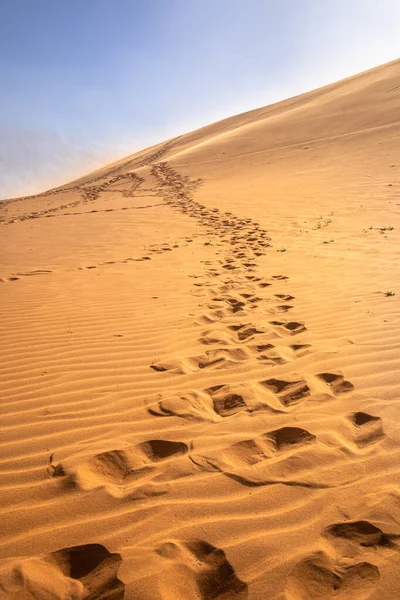Footprints African Desert Remote Wilderness Namib Naukluft National Park Deadvlei — Stockfoto