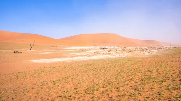 Duinen Blauwe Lucht Deadvlei Sossusvlei Nationaal Park Namib Naukluft Namibië — Stockfoto