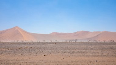 Sossusvlei, Namibya 'daki kum fırtınasının panoramik görüntüsü.