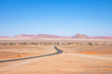 Namib Çölü, Namibya, Afrika 'daki Sossusvlei' ye uzanan Humpy kaldırım yolu. Kuru çalılar, ağaçlar, arka planda kum tepeleri ve dağlar..