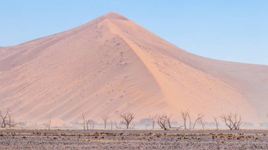 Sossusvlei, Namibya 'daki kum fırtınasının panoramik görüntüsü.