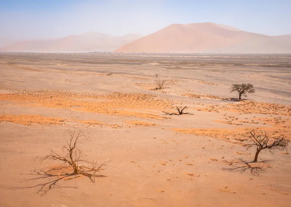 Sossusvlei Zicht Duin Namibië — Stockfoto