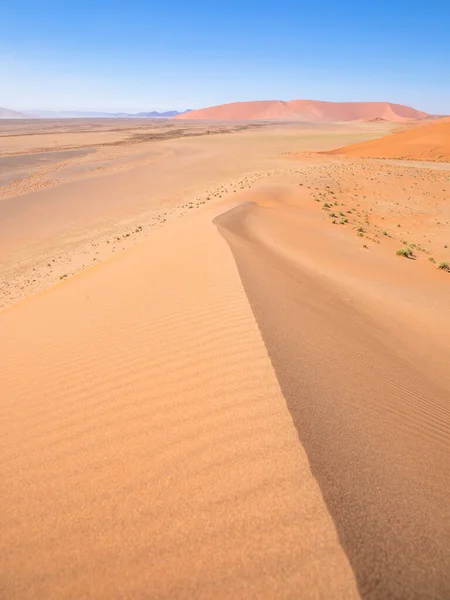 Gyönyörű Homokdűnék Tökéletes Alakú Dűne Sossusvlei Namíbia — Stock Fotó