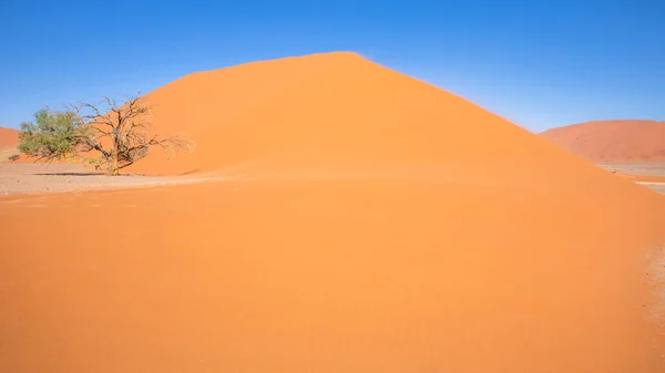 Εκπληκτική Θέα Του Dune Sossusvlei Ναμίμπια — Φωτογραφία Αρχείου