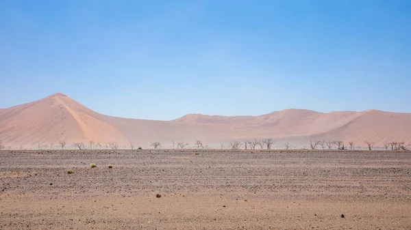 Panoramisch Uitzicht Een Zandstorm Sossusvlei Namibië — Stockfoto