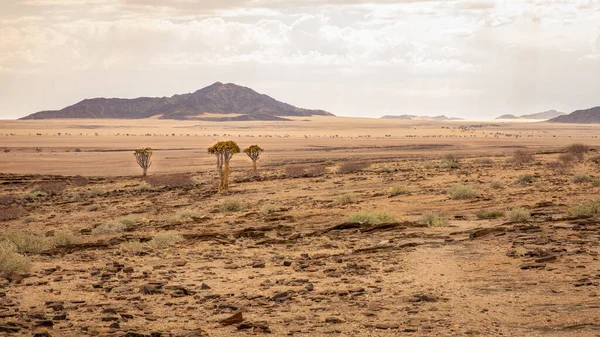 Desolate Pohled Erongo Cesta Sesriem Swakopmund Namibie — Stock fotografie