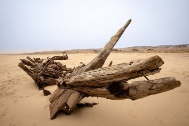Benguela Eagle shipwreck, , which ran aground in 1973, on the C34-road between Henties Bay and Torra Bay in the Skeleton Coast area of Namibia. clipart