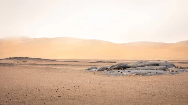 Een Prachtig Verlaten Woestijnlandschap Aan Kust Van Skeleton Namibië — Stockfoto