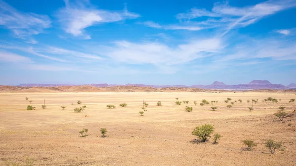 Amazing View Plain Field Twijfelfontein Damaraland Namibia — Stock Photo, Image