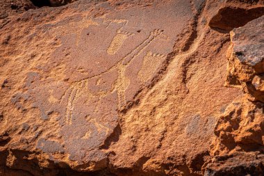 Twyfelfontein, Damaraland, Namibya 'da antik kaya oymaları.