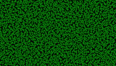 Soyut dijital fraktal model. Yatay oryantasyon. Soyut yeşil biyoloji dokusu.