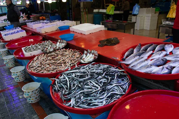 Mariscos negros. Mercado de pescado en la ciudad de Rize de Turquía. Diferentes tipos de peces en escaparate del mercado. —  Fotos de Stock