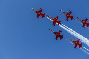 Türk Yıldızları, hava kuvvetleri gösteri ekibi Aerohama 'yı sahneledi.